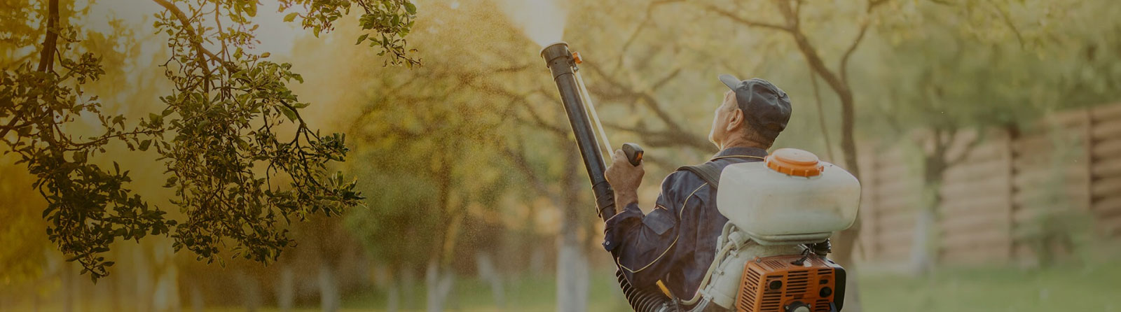pest control services in dammam