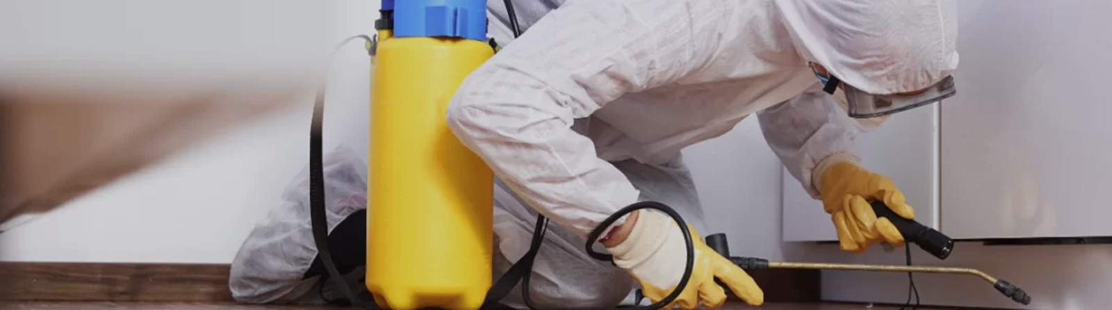 Jak Pest Control Services in Jeddah