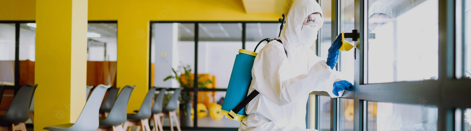 Pest Control Services in Jeddah
