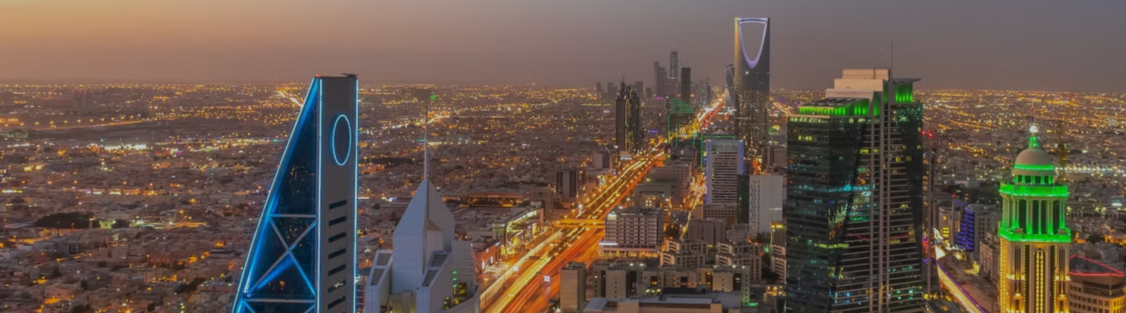 Pest control services in Riyadh