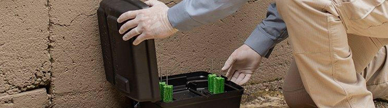 Pest Control Services in Jeddah