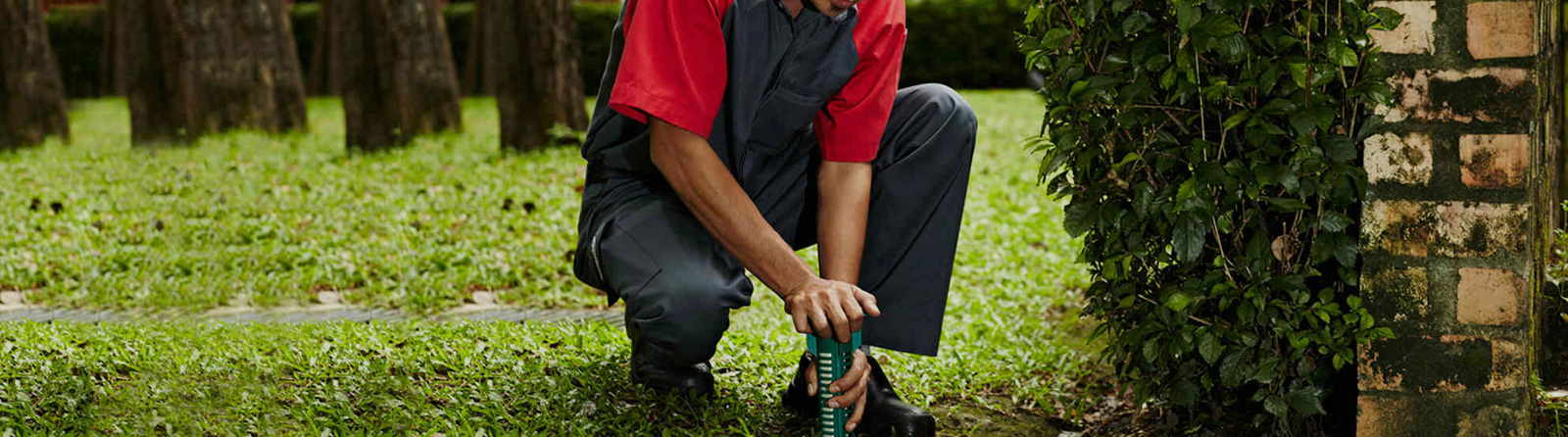 Jak Pest Control Services in Jeddah