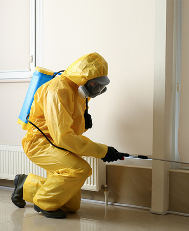 pest control services in saudi arabia