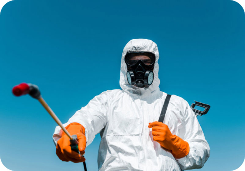 pest control services in saudi arabia