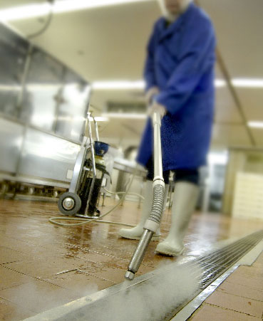 pest control services in saudi arabia