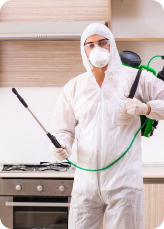 Pest Control Services in Jeddah