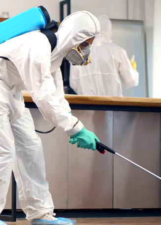 Pest Control Services in Jeddah
