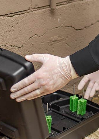 Jak Pest Control Services in Jeddah
