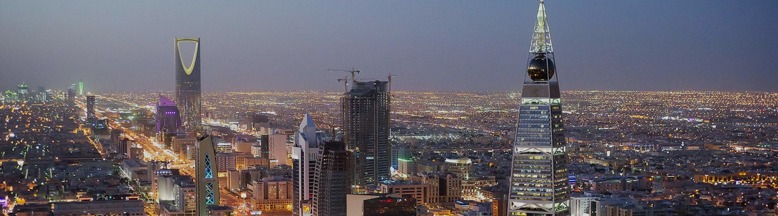 Pest Control Services in riyadh