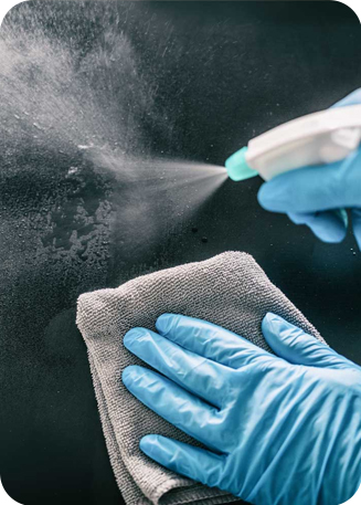 Pest Control Services in Jeddah