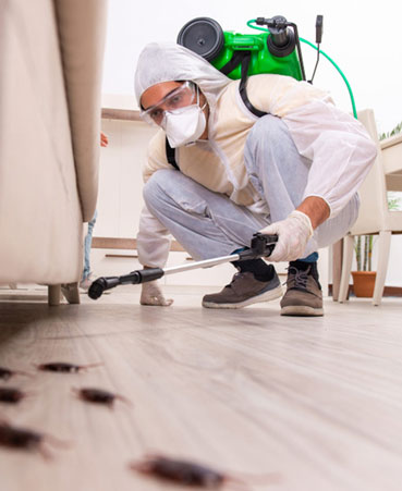 pest control services in saudi arabia