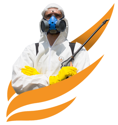 Pest Control Services in saudi arabia